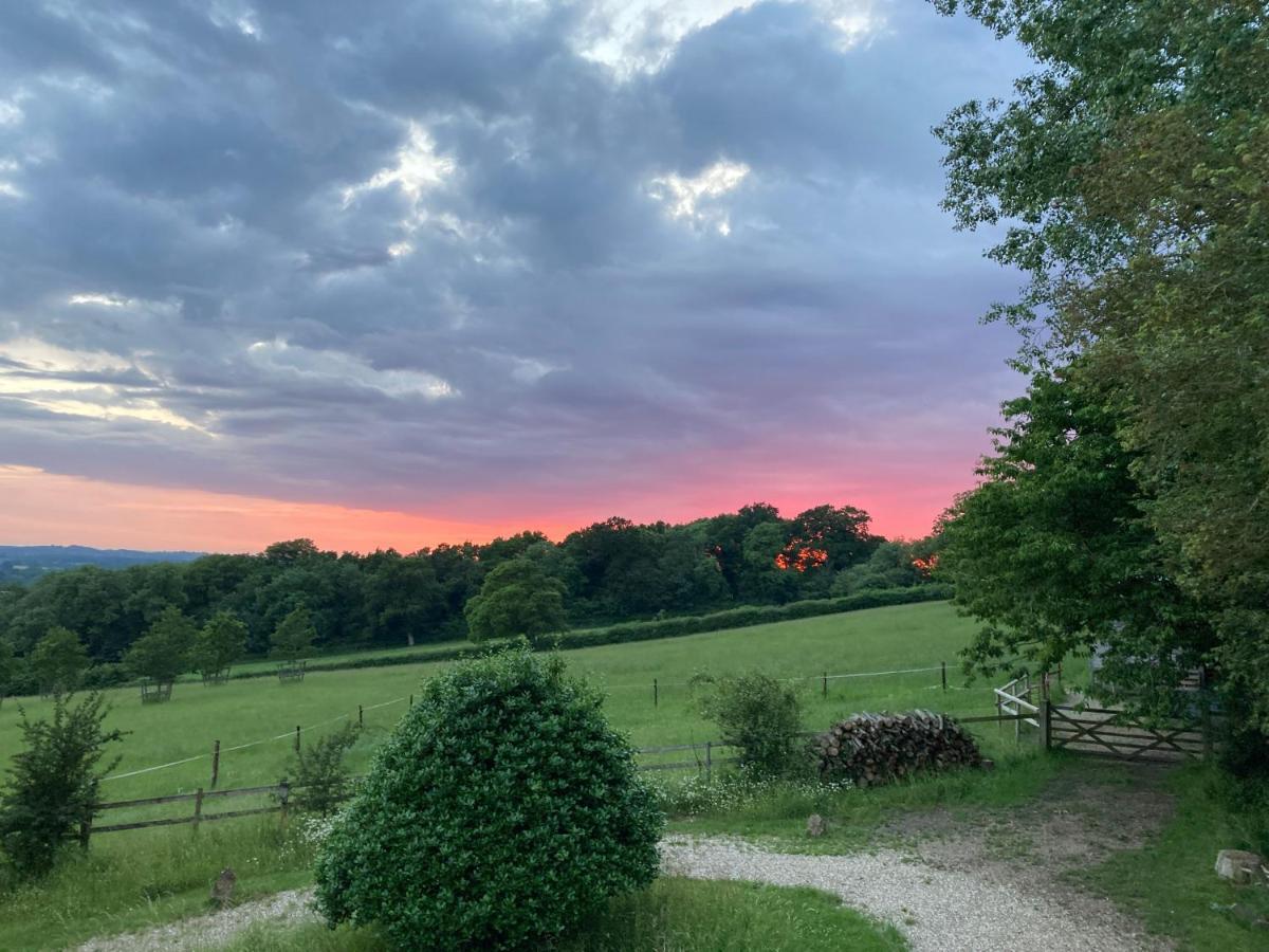 Barn Flat Overlooking Beautiful Dorset Vale Appartement *