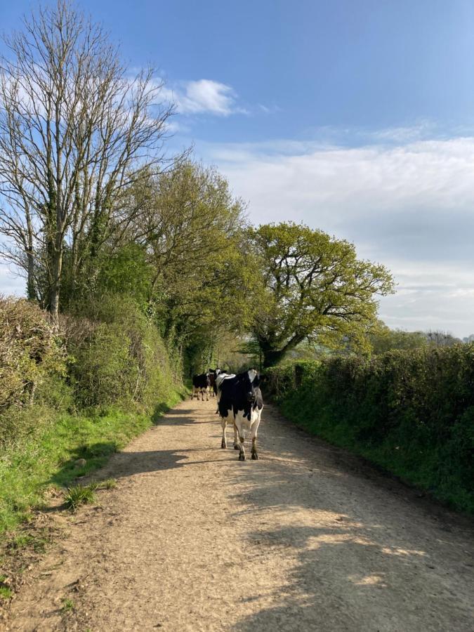 Appartement Barn Flat Overlooking Beautiful Dorset Vale Sherborne (Dorset)
